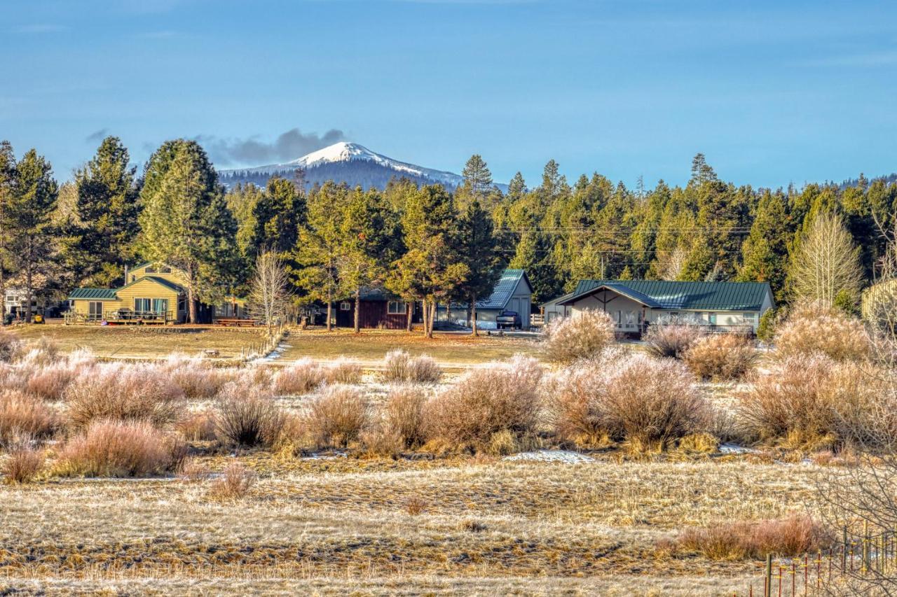 Meadow Walk Cabin Ла Пайн Екстериор снимка